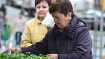 Lidé nakupují jarní květiny i sazeničky