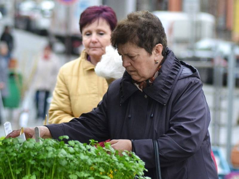 Lidé nakupují jarní květiny i sazeničky