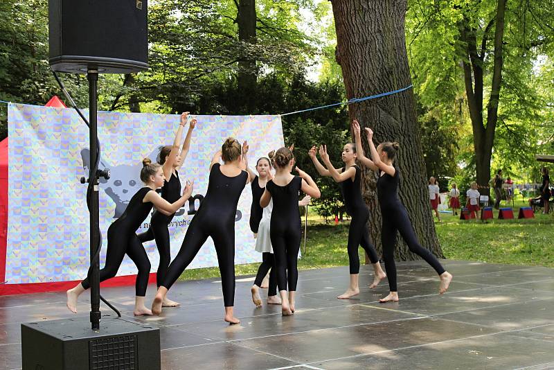 V sobotu se u pivovarského rybníka v Českém Brodě konal festival neziskových organizací.