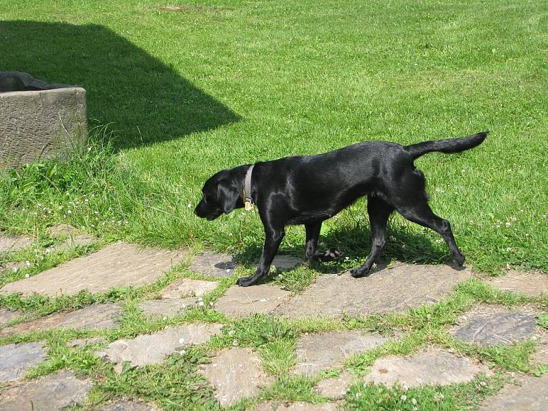 Trh chráněných dílen v kouřimském skanzenu