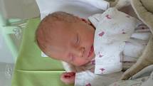 Liliana Michalská se narodila 14. listopadu 2020 v kolínské porodnici, vážila 2320 g a měřila 46 cm. V Sadské bude vyrůstat se sestřičkou Patricií (2) a rodiči Pavlínou a Patrikem.