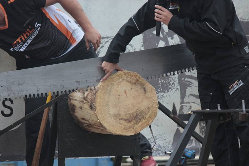 Nedělní odpoledne ve Viticích zpestřil Timbersports.