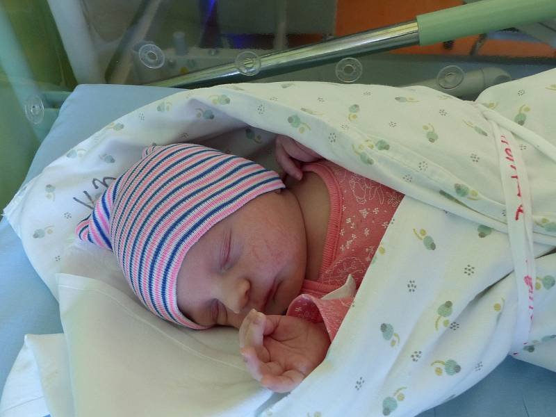 Denisa Hermanová se narodila 20. ledna 2019, vážila 3515 g a měřila 51 cm. V Kolíně ji přivítá bráška Pepa (3) a rodiče Michaela a Josef.
