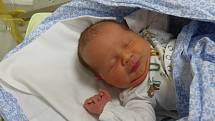 Josef Julínek se narodil 24. listopadu 2022 v kolínské porodnici, vážil 3840 g a měřil 49 cm. Do Českého Brodu odjel s maminkou Barborou a tatínkem Otou.