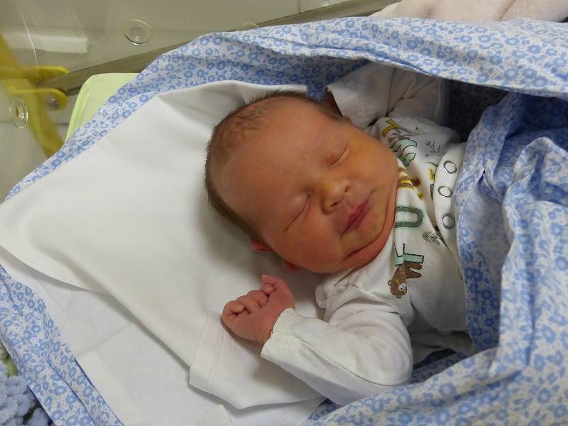Josef Julínek se narodil 24. listopadu 2022 v kolínské porodnici, vážil 3840 g a měřil 49 cm. Do Českého Brodu odjel s maminkou Barborou a tatínkem Otou.