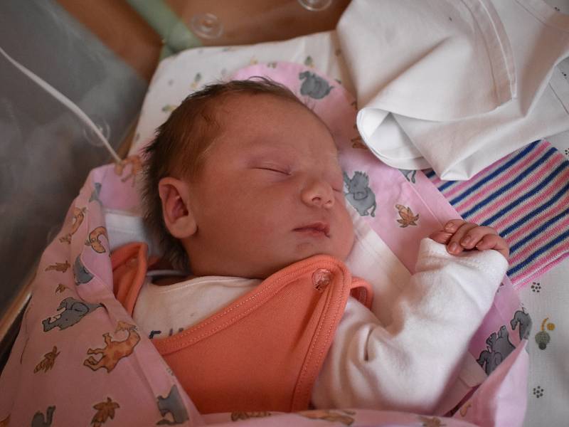 Sofie Drábková se poprvé rozplakala 22. března 2017. Po narození měřila 51 centimetr a vážila 3600 gramů. Rodiče Petra a David a sestry Terezka (15) s Barborkou (9) se z ní těší doma v Tuklatech.