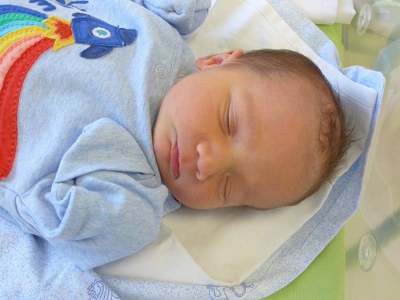 Sebastian Petr se narodil 17. listopadu 2020 v kolínské porodnici, vážil 3380 g a měřil 50 cm. V Kolíně ho přivítali sourozenci Jaroslav (19), Lilien (5) a rodiče Martina a Milan.