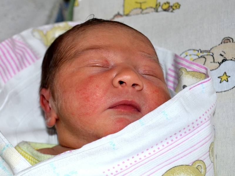 Maminka Kristina a tatínek Josef z Kolína se 23. ledna 2013 stali pyšnými rodiči. Nela Opatrná po narození měřila 50 centimetrů a vážila 3220 gramů. 