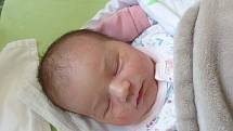 Amálie Havlasová se narodila 10. října 2021 v kolínské porodnici, vážila 3440 g a měřila 50 cm. V Poděbradech se z ní těší maminka Nela a tatínek Tomáš.