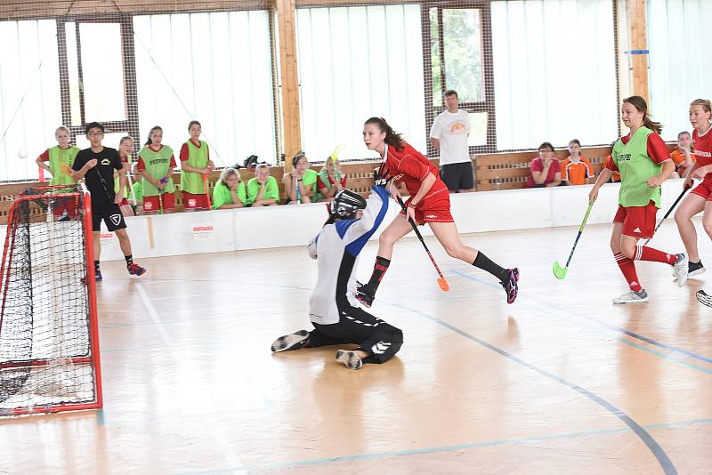 Sportovní den v Kolíně.