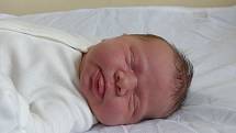 Darina Borovska se narodila 8. srpna 2021 v kolínské porodnici, vážila 4090 g a měřila 53 cm. V Kolíně se z ní těší bráška Denys (7) a rodiče Oksana a Jaroslav.