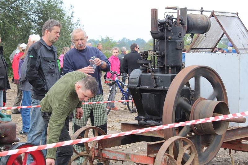 Starokolínská brázda 2017.