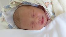 Natálie Bajerová se narodila 12. listopadu 2019 v kolínské porodnici, vážila 2605 g a měřila 45 cm. V Kolíně se z ní těší sestřičky Terezka (12), Adélka (2.5) a rodiče Lucie a Lukáš.
