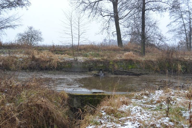 Zástupci obcí si s odborníky prohlédli tok Výrovky a určili riziková místa. 