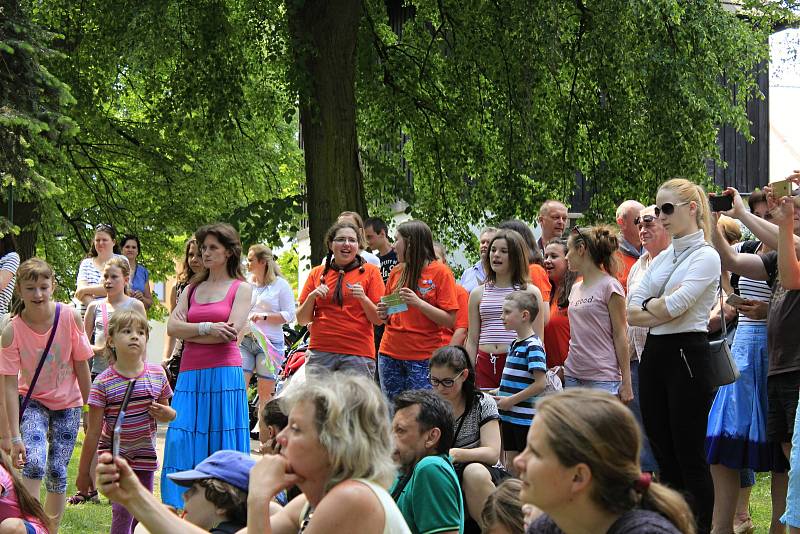 V sobotu se u pivovarského rybníka v Českém Brodě konal festival neziskových organizací.