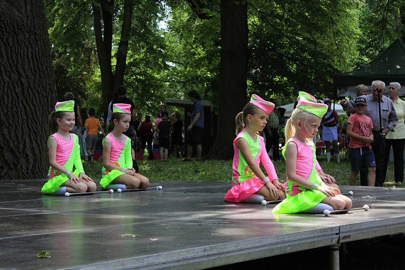 V sobotu se u pivovarského rybníka v Českém Brodě konal festival neziskových organizací.