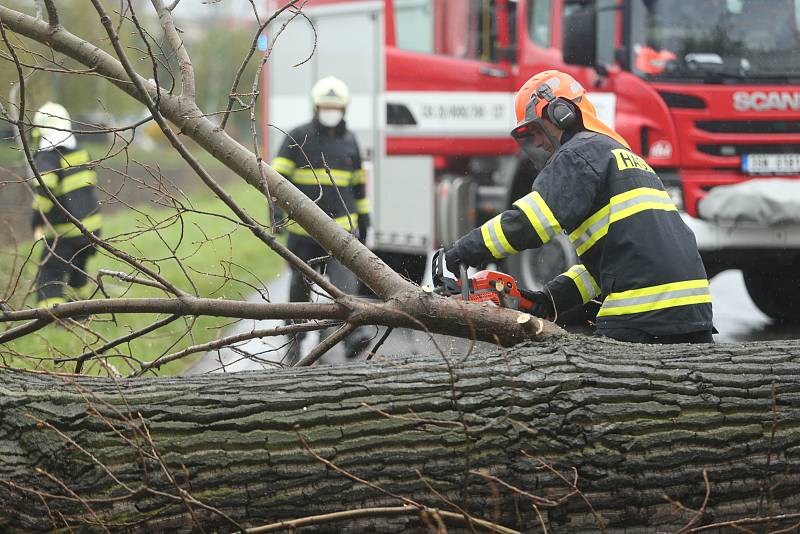 Hasiči likvidují padlý strom u Velimi v neděli 2. května 2021.