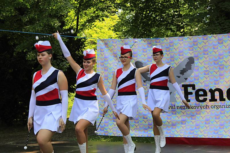 V sobotu se u pivovarského rybníka v Českém Brodě konal festival neziskových organizací.