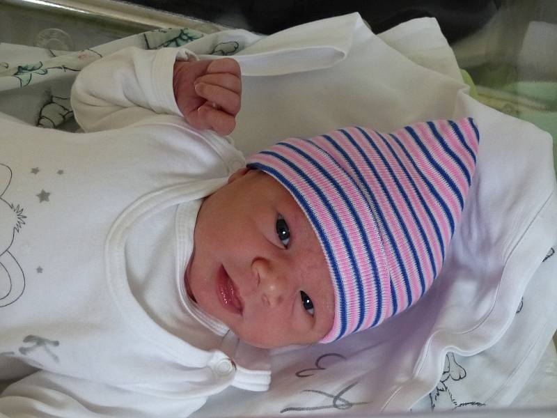 Elena Strnadová se narodila 4. listopadu 2021 v kolínské porodnici, vážila 3405 g a měřila 49 cm. Do Golčova Jeníkova odjela s maminkou Michaelou a tatínkem Janem.