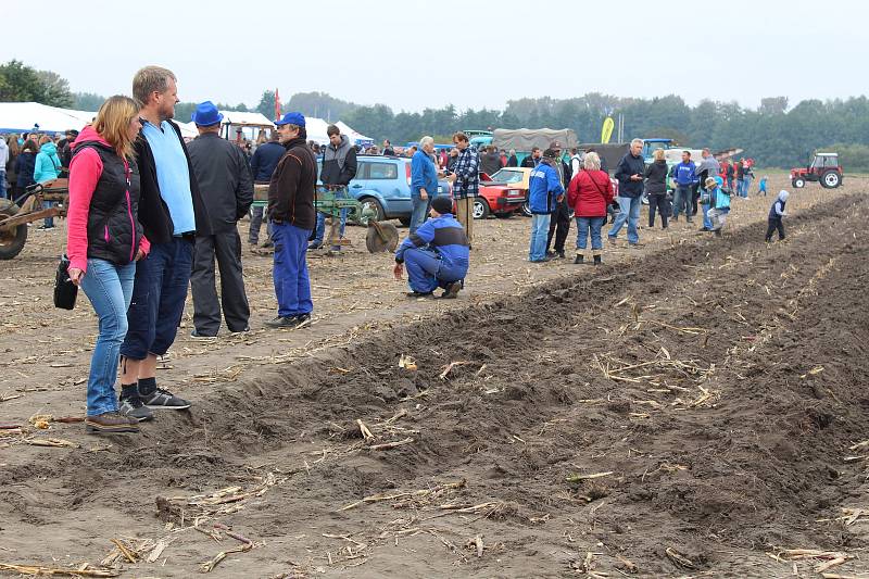 Starokolínská brázda 2017.