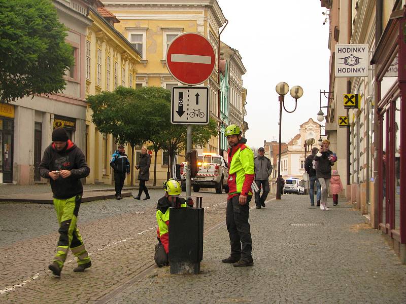 Vánoční strom přicestoval na kolínské náměstí.