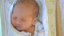David Hlucho-Horvát se narodil 4. září 2013 s mírami 2375 gramů a 45 centimetrů. Jako prvorozený pojede s rodiči Tanjou a Ladislavem do Nymburka.