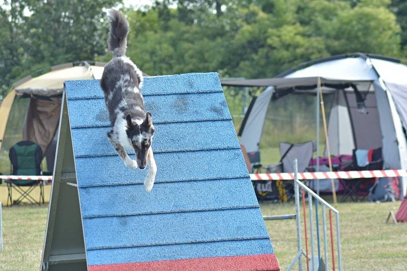 Agility v Ratenicích.