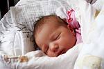 Anna Polívková se v pátek 23. listopadu 2012 narodila Monice a Vladimírovi z Chlumce nad Cidlinou. Po porodu ve 23.15 hodin měřila 50 cm a vážila 3 190 g. Těší se na ni také bráška Vojta (2,5).