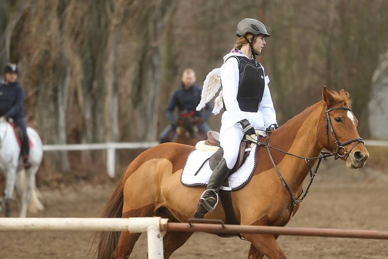 Z finále seriálu klubových soutěží Stáje Václav Kolín