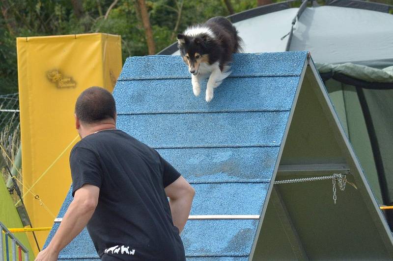 Agility v Ratenicích.