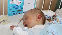 Romaně Štroblové a Pavlovi Trojkovi se 16. dubna 2010 narodil syn Maximilian Trojek. Vážil 3900 gramů a měřil 54 centimetrů. Brzy pojede domů do Čáslavi za tříletou sestrou Magdalénou.