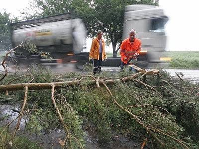 Desítky popadaných stromů museli lidé likvidovat po nočním řádění živlu.