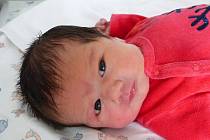 Ella Ptáčková se narodila 2. prosince 2021 v kolínské porodnici, vážila 3500 g a měřila 50 cm. V Kolíně bude vyrůstat s bráškou Vítkem (9) a rodiči Veronikou a Petrem.