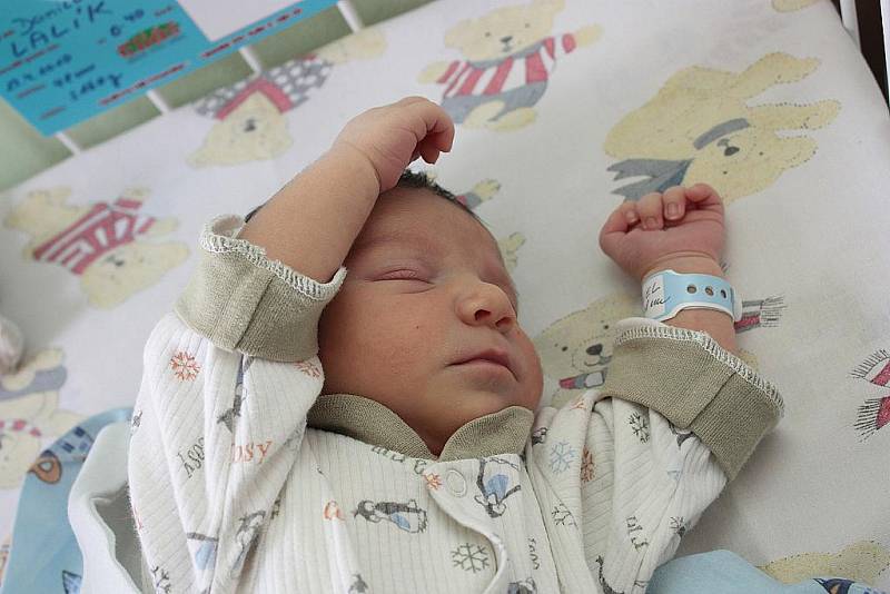 Daniel Lalík se narodil 23. dubna 2010 rodičům Lucii a Martinovi Lalíkovým s porodní váhou 3160 gramů a mírou 48 centimetrů. Brzy ho čeká cesta domů do Vrbčan za šestiletým bratrem Martinem.