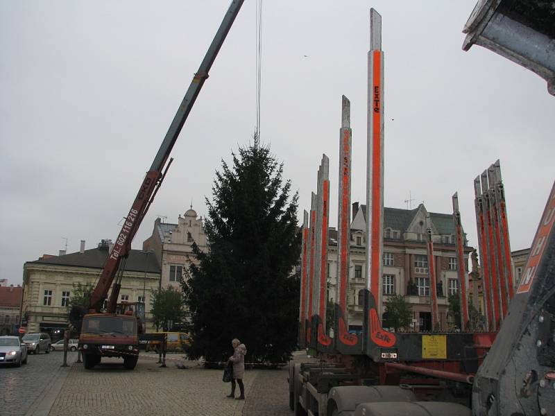 Usazování vánočního stromu na Karlově náměstí v Kolíně