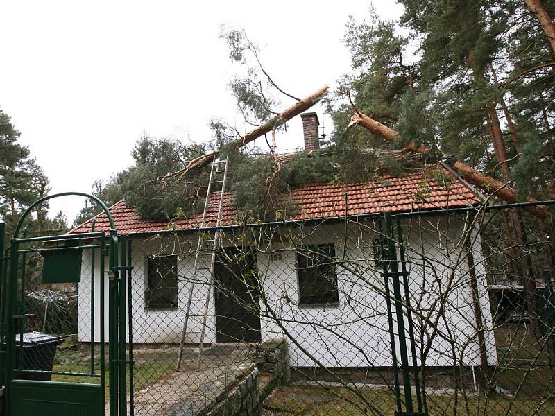 Ve Vyžlovce spadl strom na rodinný dům.