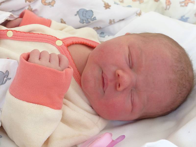 Dominika Zemanová se narodila 13. listopadu 2019 v kolínské porodnici, vážila 3520 g a měřila 50 cm. Do Olešky odjela se sestřičkou Karolínkou (3) a rodiči Denisou a Jiřím.
