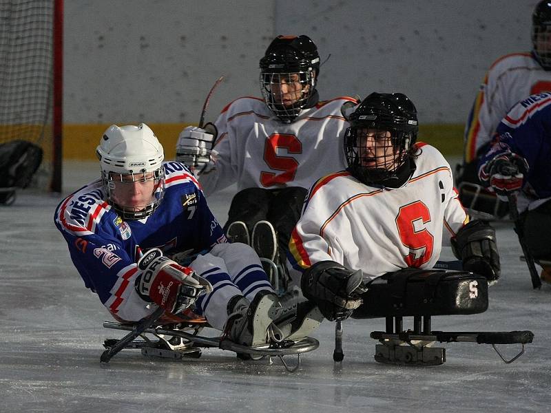 Z utkání semifinále play off České sledge hokejové ligy Draci Kolín - Sparta Praha (2:1).