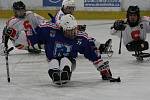 Z utkání semifinále play off České sledge hokejové ligy Draci Kolín - Sparta Praha (2:1).