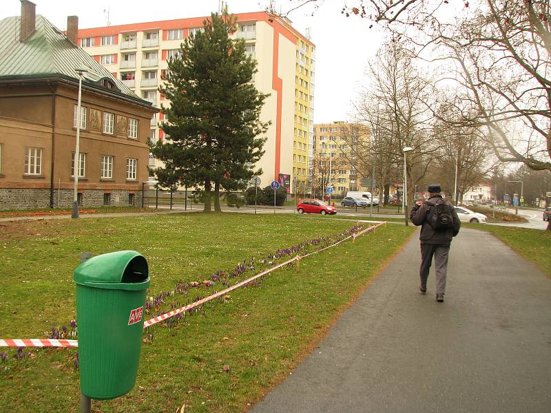 Prostor před kolínským gymnáziem.