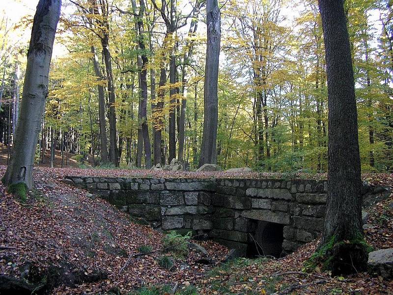 Z vycházky do Voděradských bučin