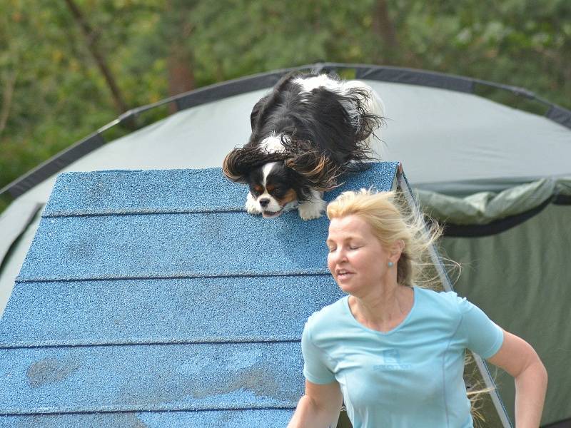 Agility v Ratenicích.