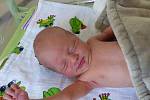 Evelin Seidlová se narodila 10. srpna 2020 v kolínské porodnici, vážila 2920 g a měřila 48 cm. V Praze se z ní těší maminka Naďa a tatínek Jiří.