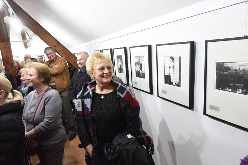 Výstava Roberta Vana přilákala rekordní návštěvu