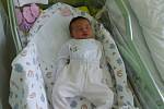 Elisabeth Kořánová se narodila 1. května 2018. Po porodu měřila 53 cm a vážila 4150 gramů. V Mlékovicích je s maminkou Kristýnou uvítá tatínek Jiří a bratr Samuel (4).
