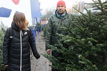 Prodej vánočních stromků v Kolíně.