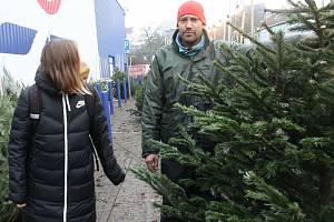 Prodej vánočních stromků v Kolíně.