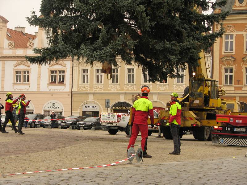 Vánoční strom přicestoval na kolínské náměstí.