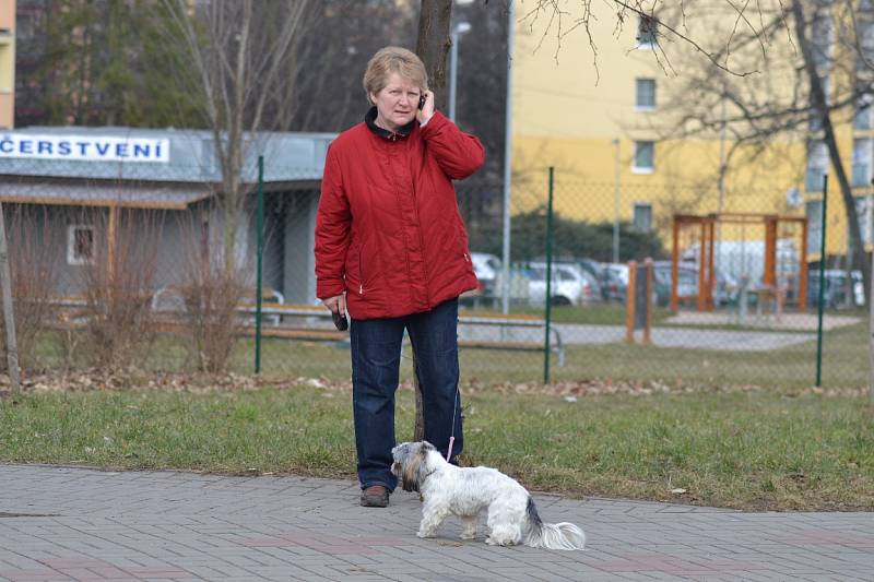 Nácvik zásahu proti ebole