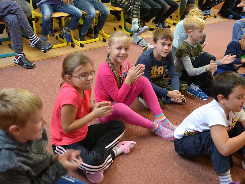 Radimská škola má zájem o rorýse a stala se rorýsí školou.